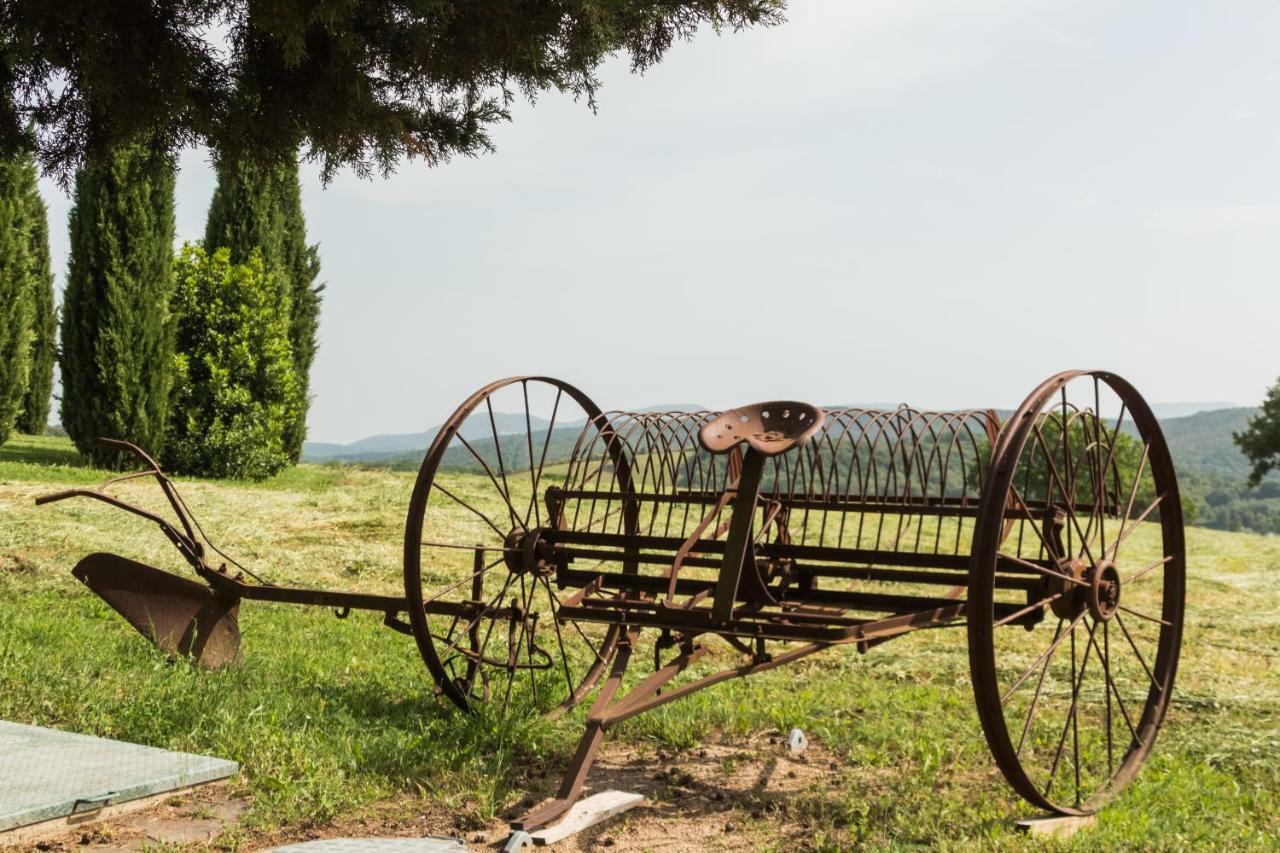 Agriturismo Il Felciaione Масса-Мариттима Экстерьер фото